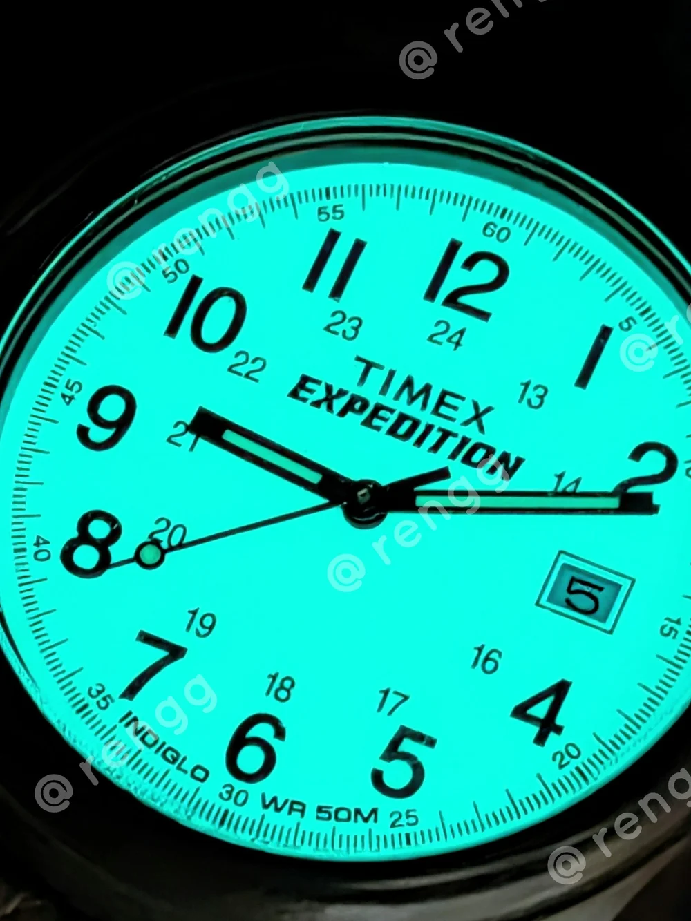 Timex Expedition Cream Field Watch Indiglo